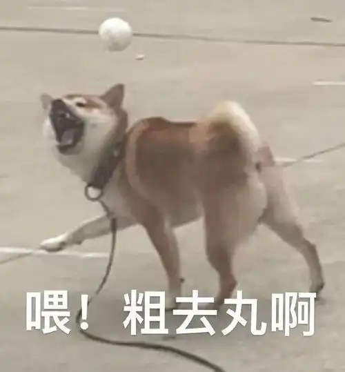 表情包总有新故事值得盼望

