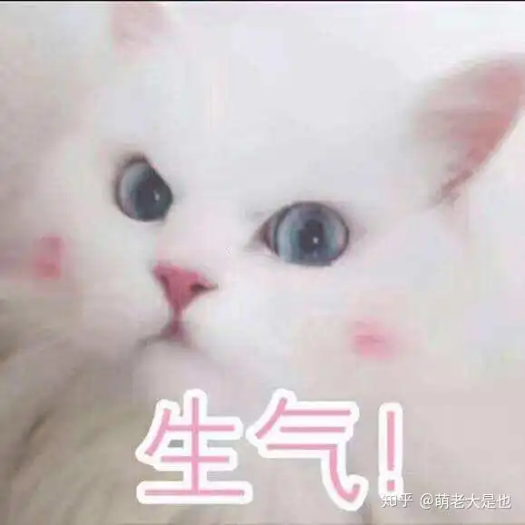 双十一宠物拔草清单千万别入坑了
