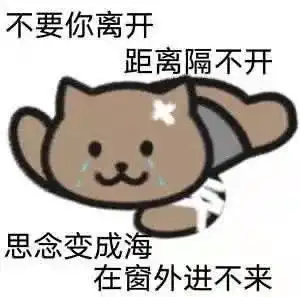 世代的狂音乐的王表情包一猫人歌词表情包
