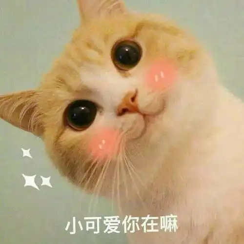 有哪些哄男朋友的可爱表情包
