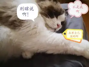 盛世妖颜应犹在,魅惑众生已成空
