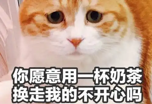 橘猫特别凶是什么原因导致的
