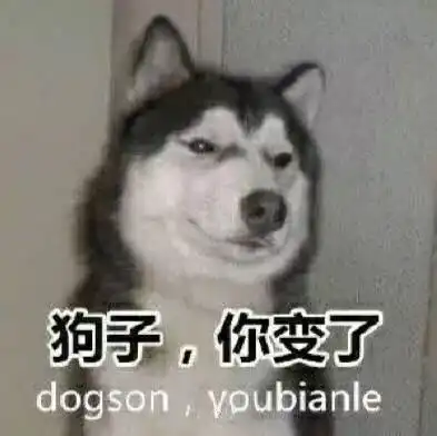 一组搞笑傻狗逗比眼神表情包狗子,你变了
