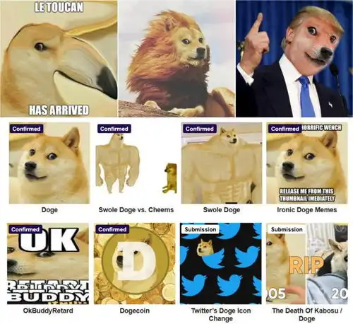 柴犬kabosu去世那些发狗头表情的人,他们在说什么
