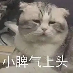 夏日的精简护肤可这4步怎么都不能省
