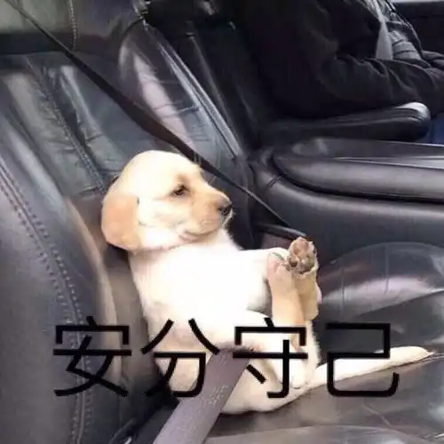 你们微信里都存了什么样的表情包
