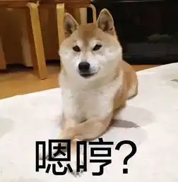 在表情包这场战争中,戏精柴犬完胜二哈
