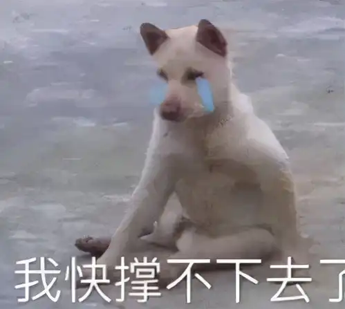富贵花的故事赵大公子是如何对付狐媚娘的富贵花被拖下水了
