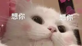 毕业前看的最后一场雪
