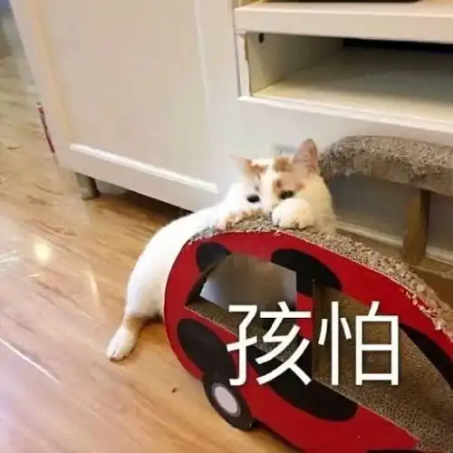 表情包关上门你就是我的人了
