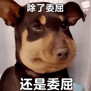 微信可爱聊天表情包我能有什么坏心眼呢
