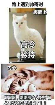 每日斗图秀洛奇英雄传永恒表情包第三十九期
