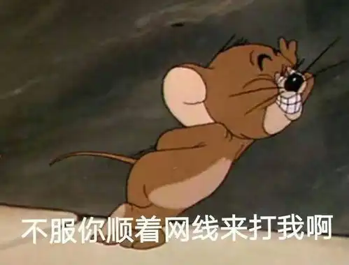 茶轴的手感如何炼成简析富勒g1金刚套键盘
