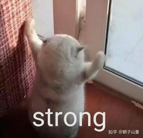 有哪些女主很厉害的快穿文值得推荐
