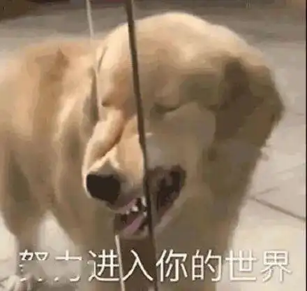 速进娱乐圈都不敢得罪霸总的大瓜
