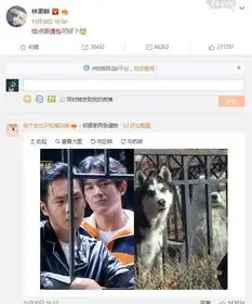 林更新真是宝藏男孩亲自和黑粉撕通宵,炫富表情包笑喷饭
