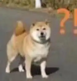 千万不要用苹果手机的全景拍照功能哈哈哈哈哈哈哈笑到头掉
