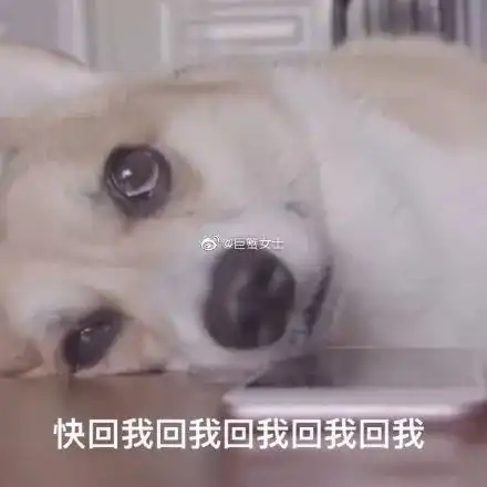 不会蹦迪你就用头写粪字xswl第一次蹦迪需要注意什么
