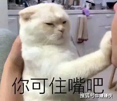 人人都爱表情包图片打爆你的狗头
