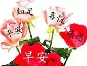 不用打字就可以聊天的早上好心情祝福语大全,早上好祝福语动态表情图片

