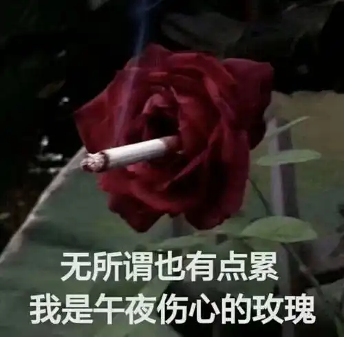 有些人,一开口就是老舔狗了