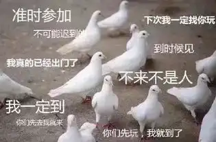 什么样的淘宝主播最受欢迎
