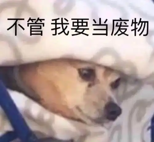 表情包我觉得你多少有点问题了
