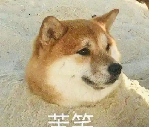 刘昊然为角色放弃形象,增肥染发又黑又土,真爱粉看了都嫌弃