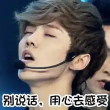 求鹿晗表情包

