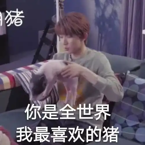 tfboys微信聊天表情包
