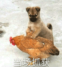 在高明明城犯下命案,藏匿25年,终难逃法网