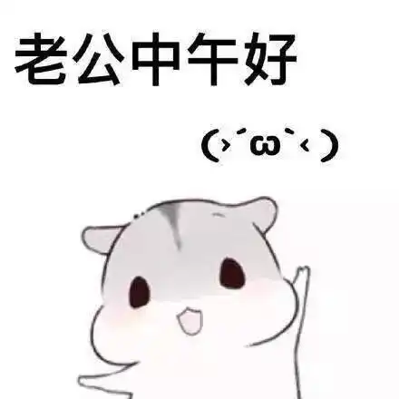 卖萌仓鼠老公表情包
