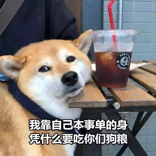 伊周素人造型看了这对小情侣我也想恋爱了
