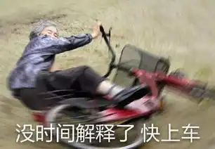 风行海南圣诞前夕脱单指南单身狗必点