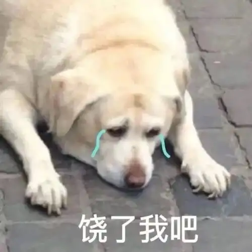 傻狗表情包什么意思哭笑不得