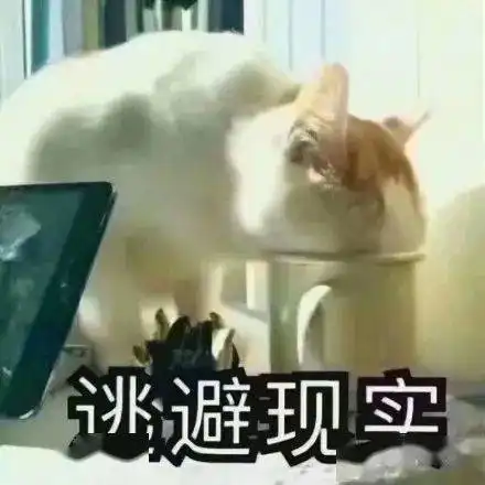 英语基础语法动词
