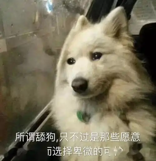 合集汪星人表情包

