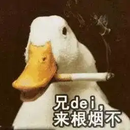 表情包行业竞争太激烈了什么鸡鸭鹅都来了
