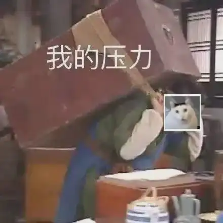 多省市专升本考试在即他们却卷本降专,主打另类深造
