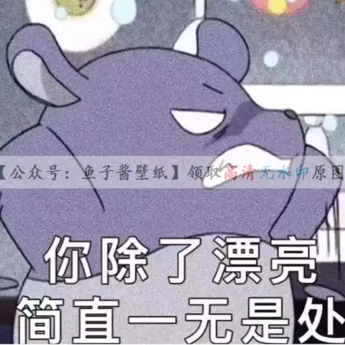 你除了漂亮简直一无是处表情包抖音热门朋友圈封面壁纸背景
