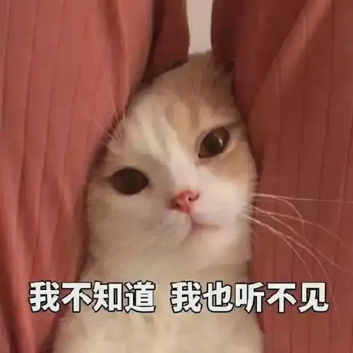神仙背景图大放送
