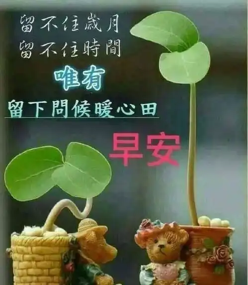 2020最新鼠年早安祝福语大全,朋友圈最新微信表情句子
