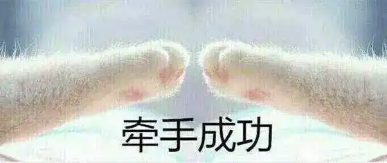 天呐光天化日秀恩爱还有人请吃饭
