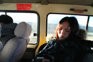 西藏逃亡,
