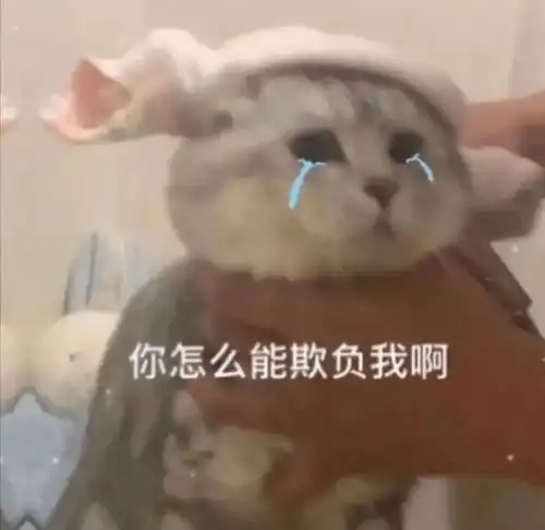 表情包丨沙雕表情包动图4.11期