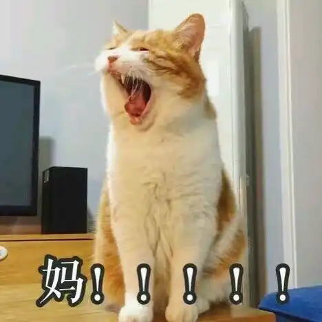 有喊爸妈的表情包吗,求
