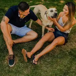 新人带爱犬拍美美的婚纱照,没想到却被傻狗弄成搞笑表情包
