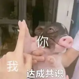 合法同居的那些事儿
