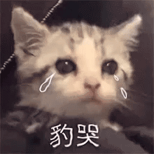 0627抖音表情包背景图,热图
