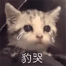 0627抖音表情包背景图,热图
